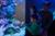 Visit Vivamar Aquarium in Ritoque with Activities for All Ages
