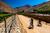 Biketour en el Valle de Elqui: Viñedos, Cultura y Naturaleza
