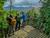 Conéctate con la historia y biodiversidad en un tour inmersivo en Lago Calafquén