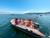 Explore the Coast of Papudo by Zodiac: Punta Pite, Lobos Island, and Los Lilenes Beach