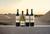 The New Wines Experience at Concha y Toro: Wine & Pairing Tour