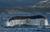 Avistamiento de ballenas, fauna marina y glaciares en el Estrecho de Magallanes, Parque Francisco Coloane