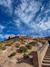 Amanecer en los Géiseres del Tatio: Un Tour Inolvidable en el Desierto de Atacama