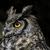 Scenic Routes: Owl Trail Hiking in Cajón del Maipo