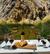 Termas en la Cordillera desde Vicuña con Sabores Locales