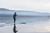 Navega en el Santuario del Río Cruces, Valdivia: SUP o Kayak