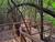 Inmersión en la Selva Valdiviana: Naturaleza y Aprendizaje