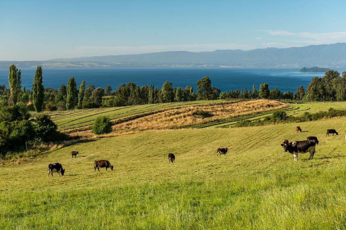 Lago Ranco y Panguipulli