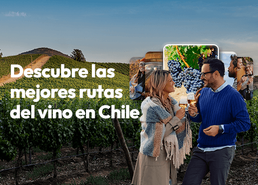 Viñas & Degustación