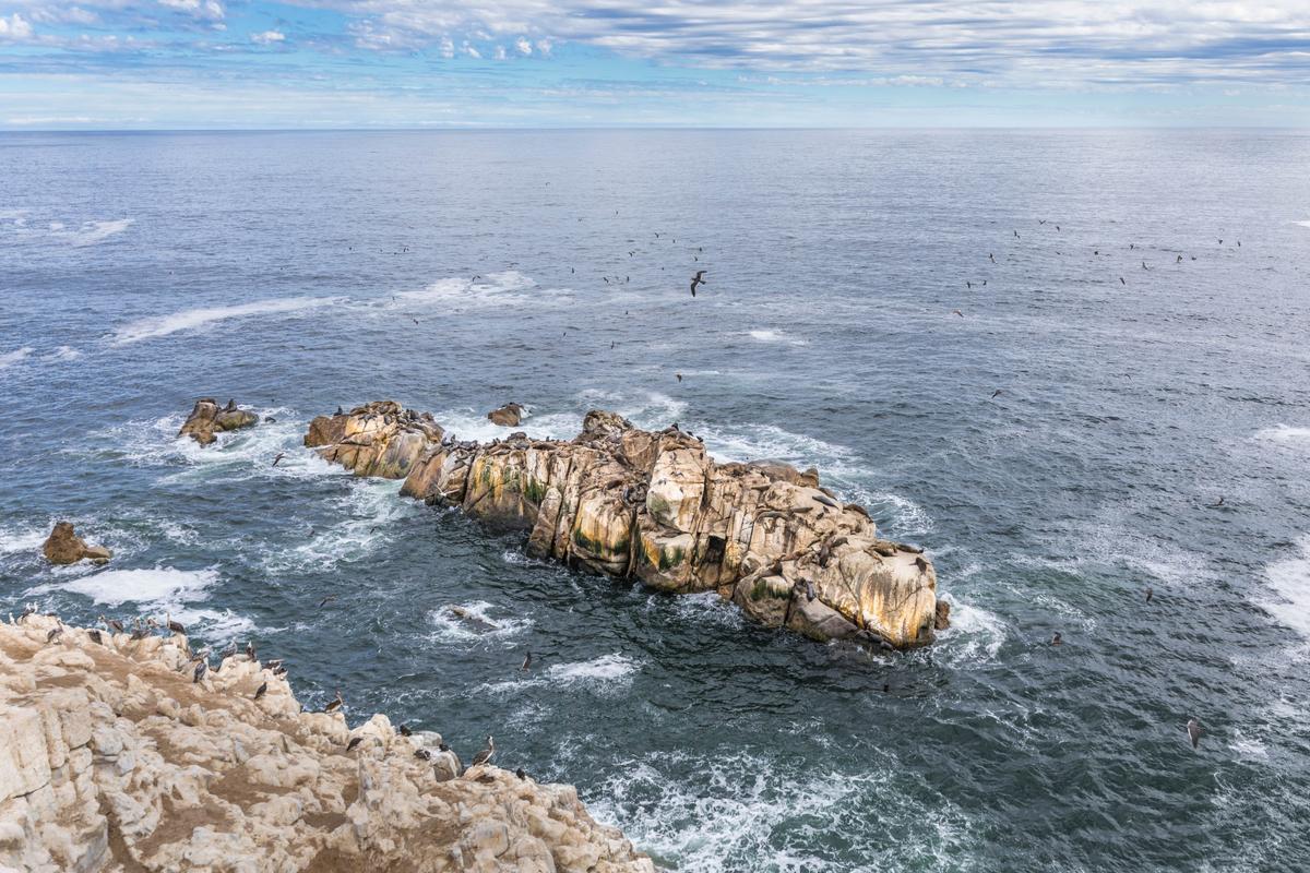 Isla Damas, Punta de choros y Chañaral de aceituno
