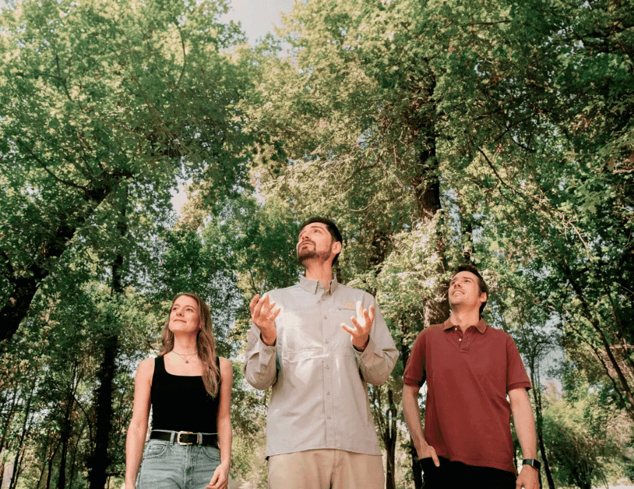 Tour guiado en Casa del Vino Concha y Toro con nueva experiencia sensorial