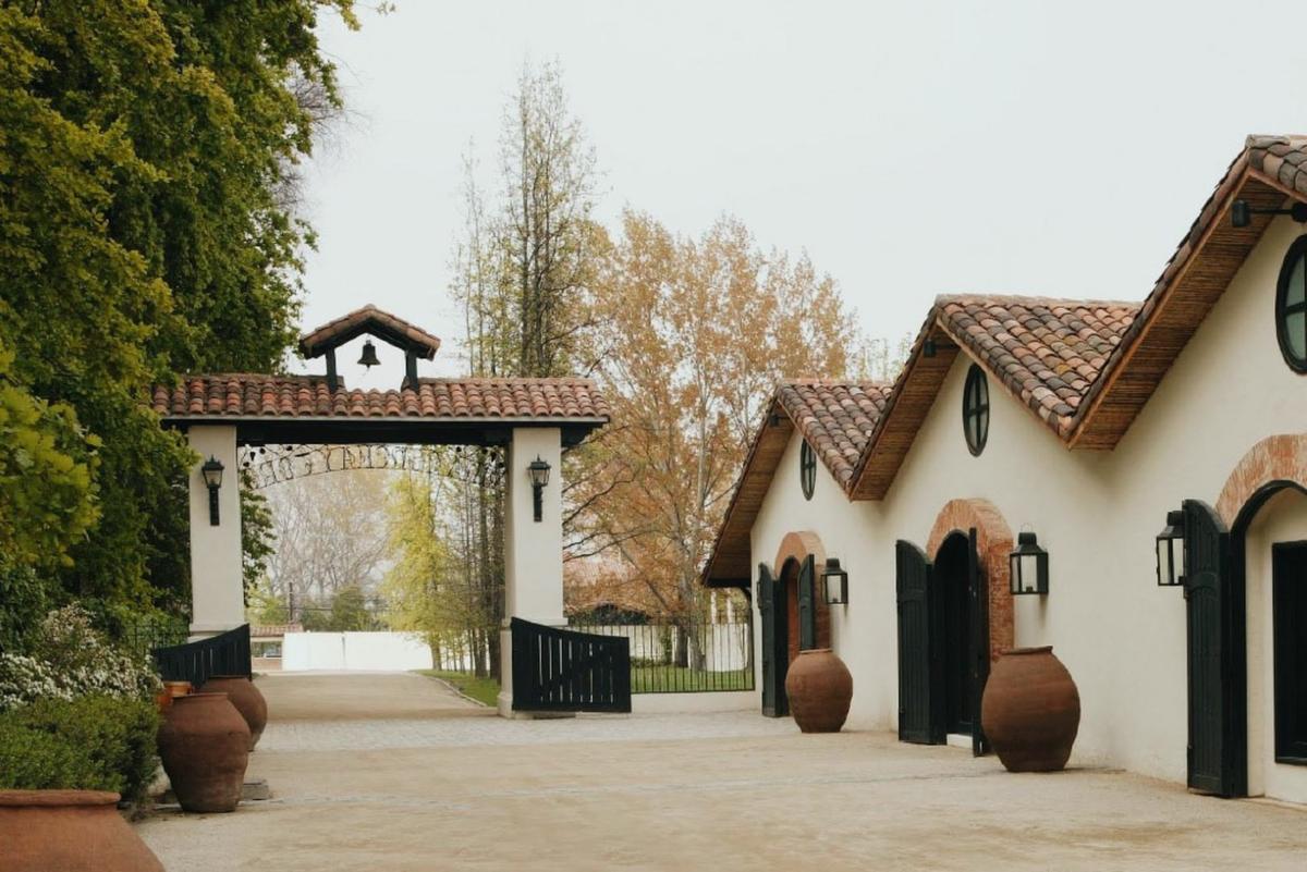 Experiencia Medio Día Tour Premium en Casa del Vino Concha y Toro desde Santiago